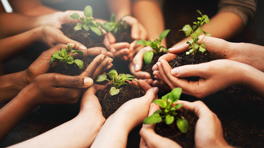 What Earth Day Means at Holistic Spirits Co.